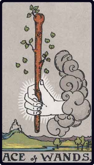 Ace of Wands Tarot Card